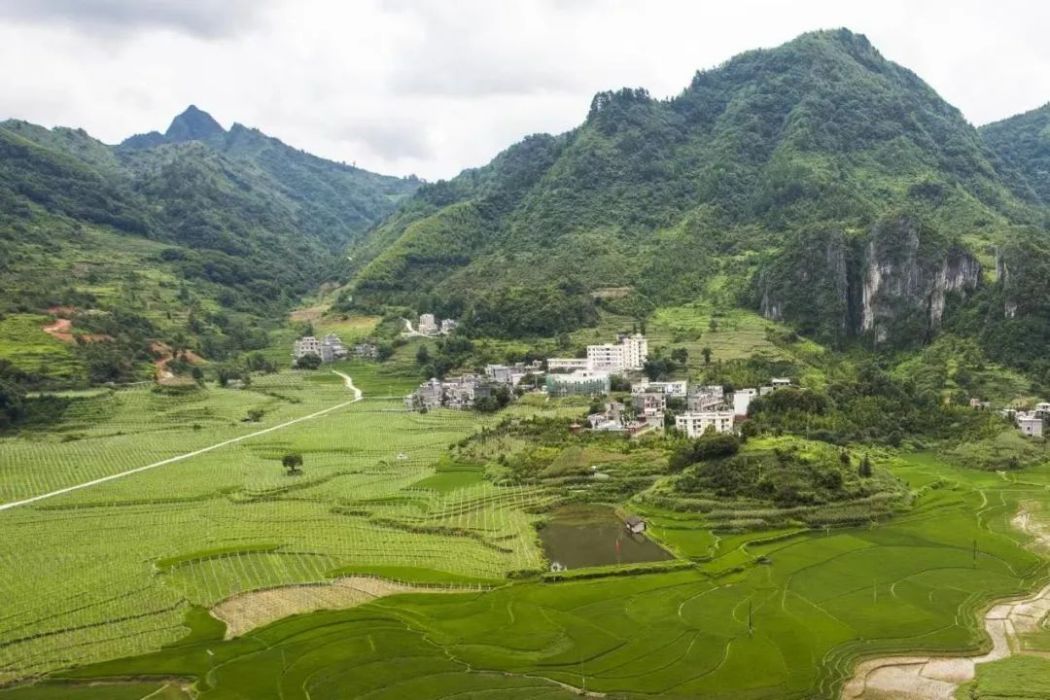 中亭村(鳳山縣中亭鄉下轄村)