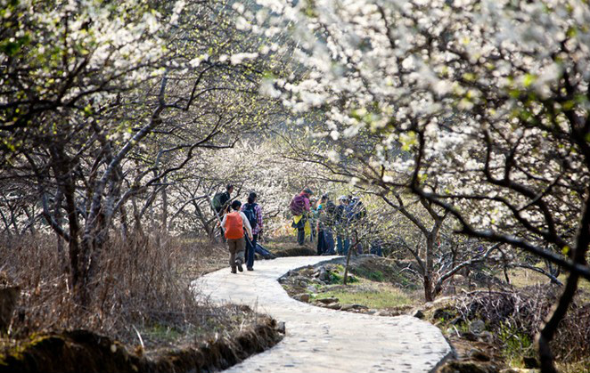 漳溪坑頭村