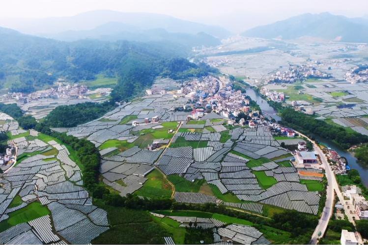 中峰鎮(廣西壯族自治區桂林市資源縣轄鎮)