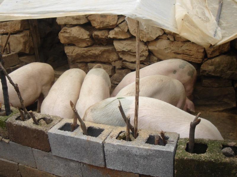 養殖業