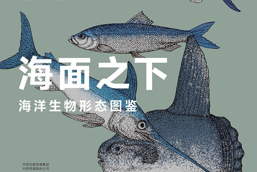 海面之下(2020年大象出版社出版的圖書)