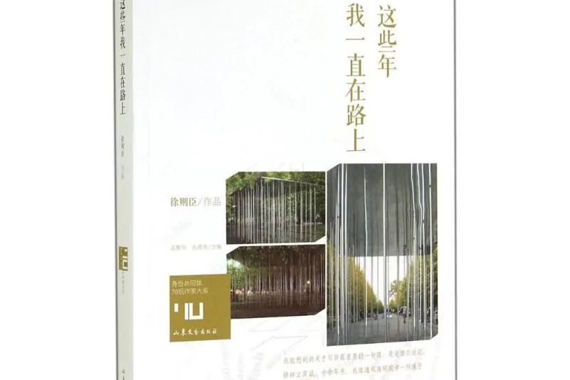 這些年我一直在路上(2014年山東文藝出版社出版的圖書)