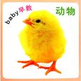 baby早教：動物