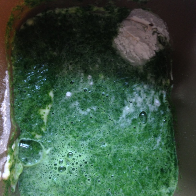 綠皮蓮藕牛肉餃子