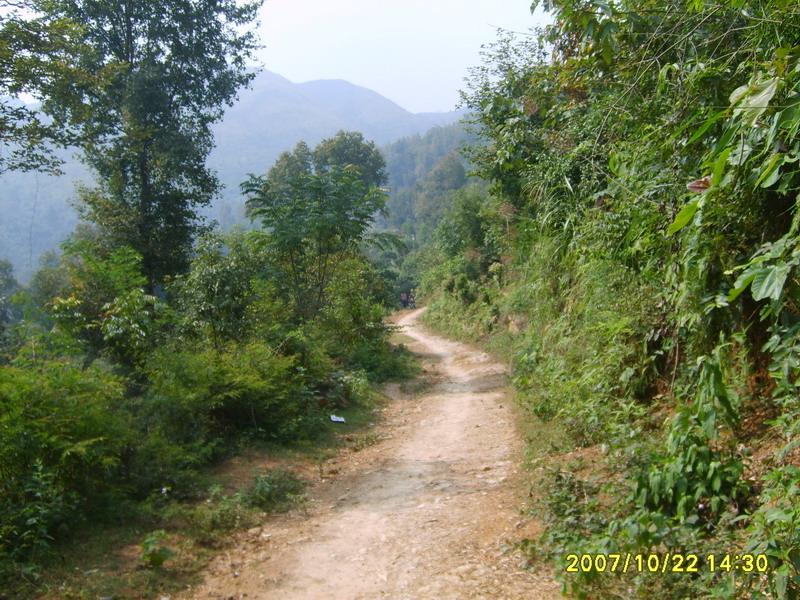 進村道路