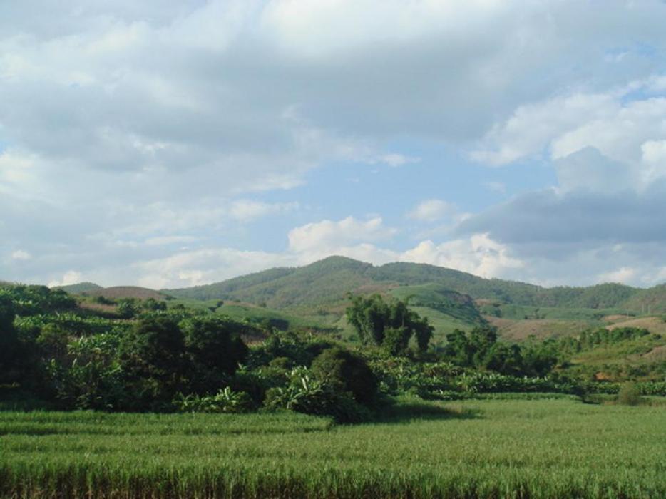 和平村自然村