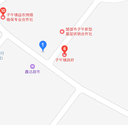 子午鎮(雲南省楚雄市子午鎮)