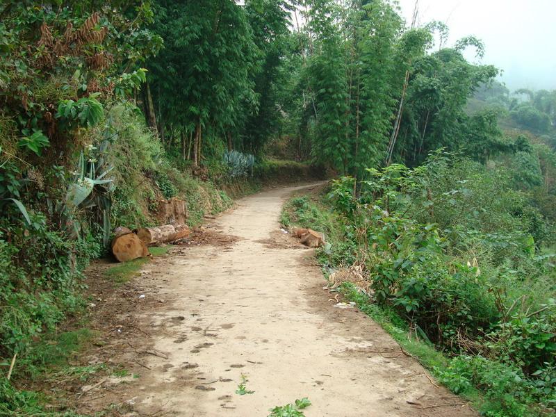 亞練村進村道路