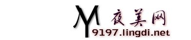 夜美網最新網站LOGO