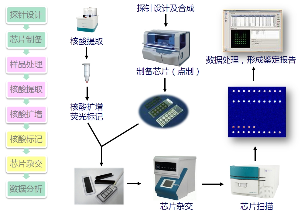 基因鑑定技術