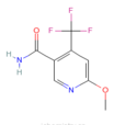 2-甲氧基-4-（三氟甲基）吡啶-5-甲醯胺