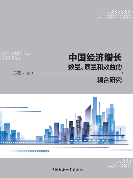 中國經濟成長數量、質量和效益的耦合研究(王薇創作經濟學著作)