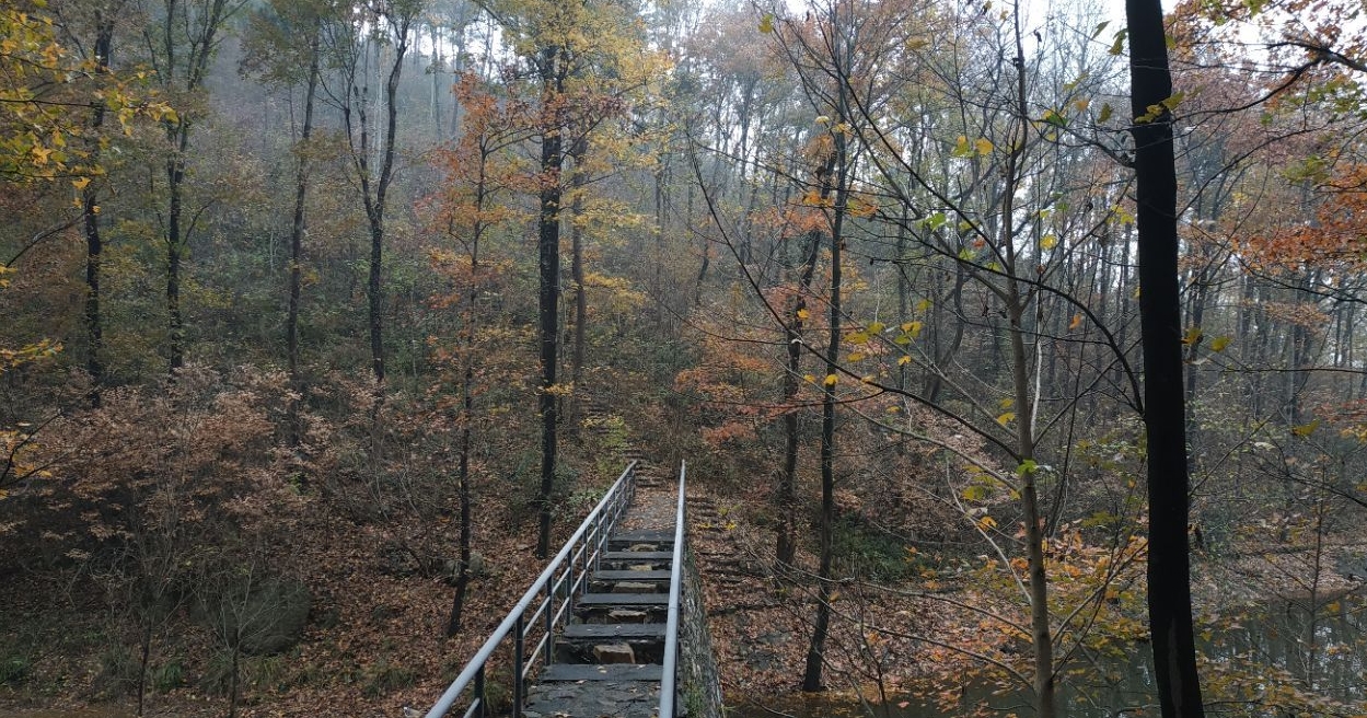 安徽東庵省級森林公園