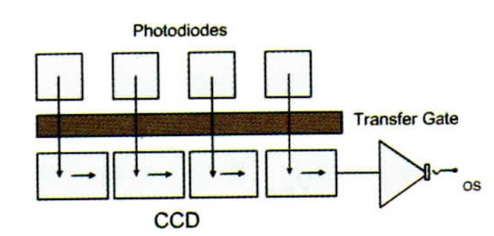 單溝道線陣CCD