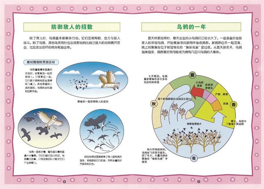 西頓動物科學繪本