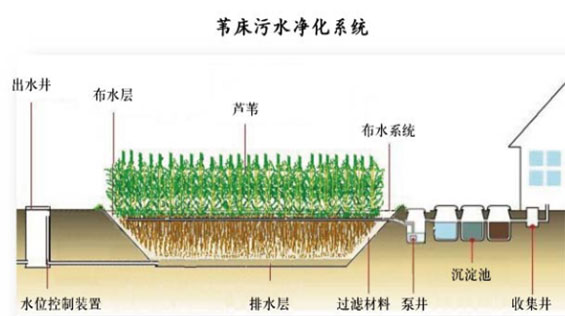 生物淨化技術