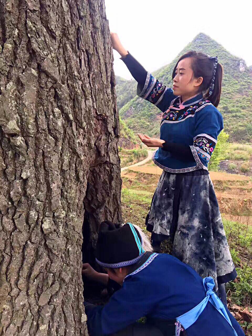 采楓香油的少女