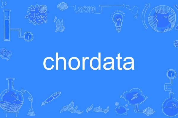 chordata