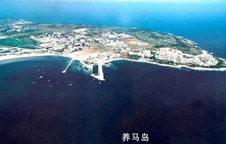 養馬島