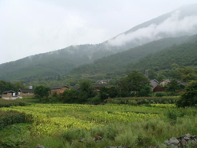 中興村(雲南省玉龍納西族自治縣黎明僳僳族鄉中興村)