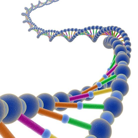 生物學(生命科學（生物學分支之一）)