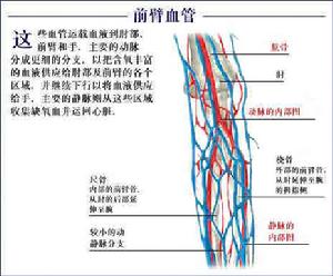 血管