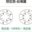 超弦與多維空間