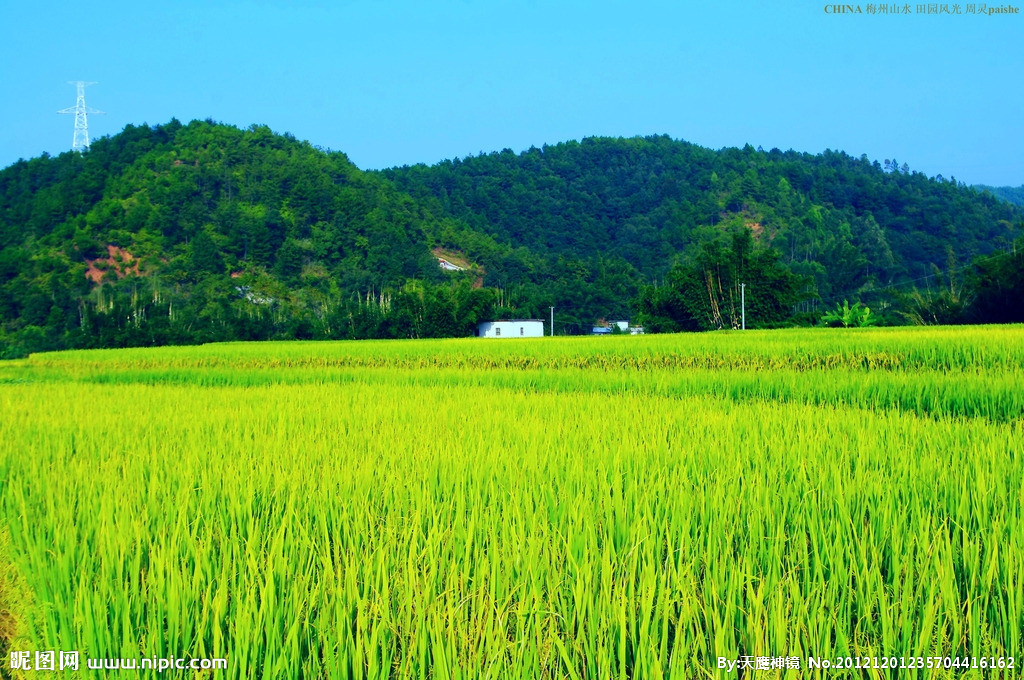 泉陂村