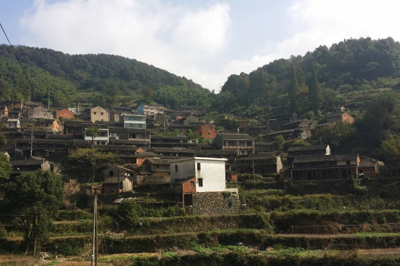 金山村(錢家山)