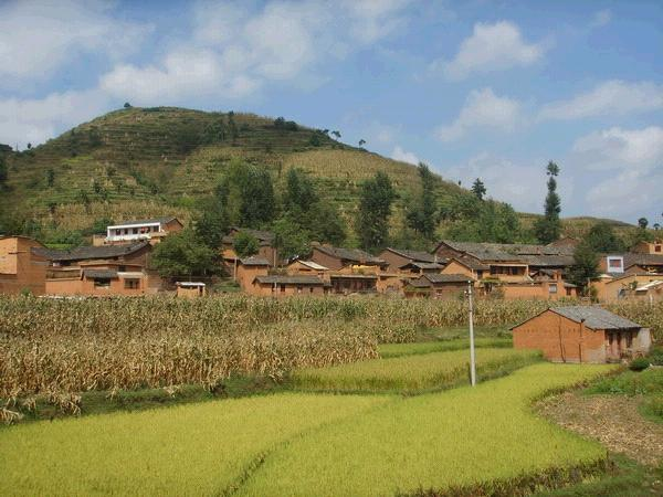 龍洞村(雲南省曲靖會澤縣馬路鄉龍洞)