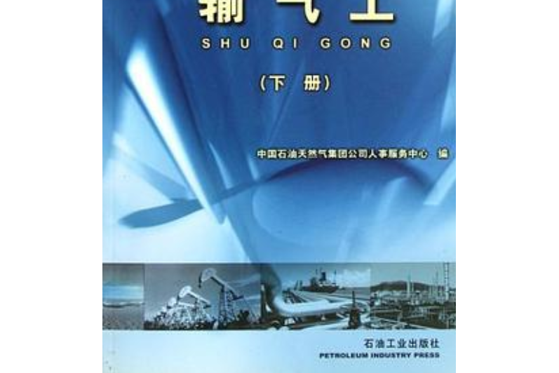 職業技能培訓教程與鑑定試題集（下冊）(書籍)