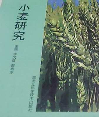 小麥研究(2006年黑龍江科學技術出版社出版的圖書)