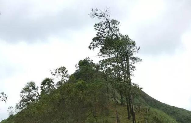 廣東六王山森林公園