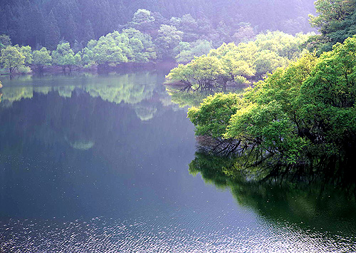 大封門森林公園