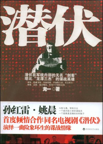 潛伏(2008年孫紅雷、姚晨主演的電視劇)