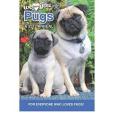 Pug Dogs