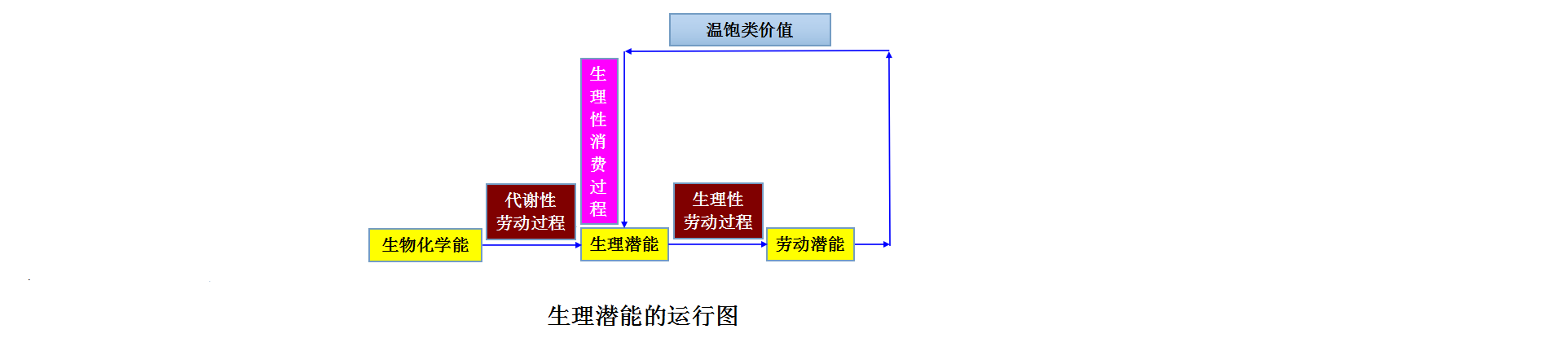 生理潛能