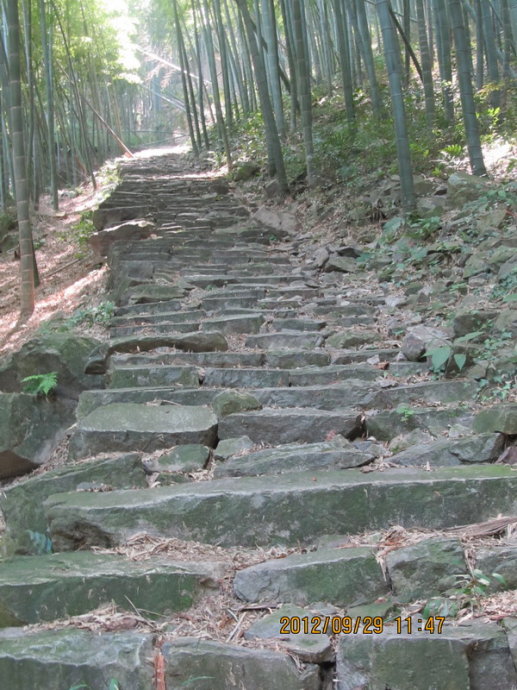 長坑嶺古道