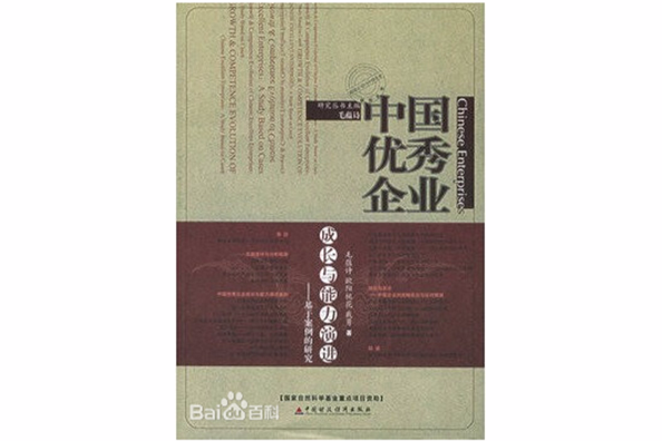 中國優秀企業成長與能力演進