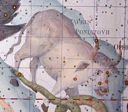 波尼亞托夫斯基的金牛座，星座畫