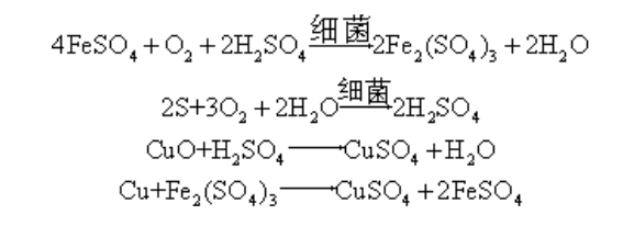 細菌浸鈾