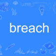 Breach(英語單詞)