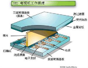 SED電視機