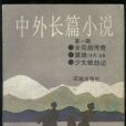 長篇小說(小說的形式之一)