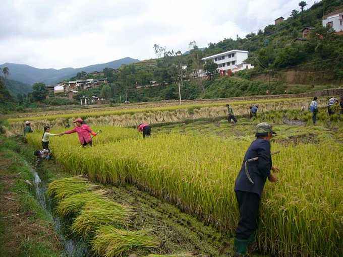 上村四村