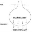 唱歌呼吸法(歌唱呼吸法)