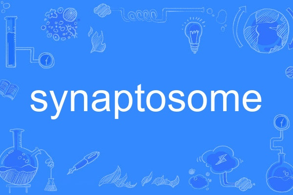 synaptosome