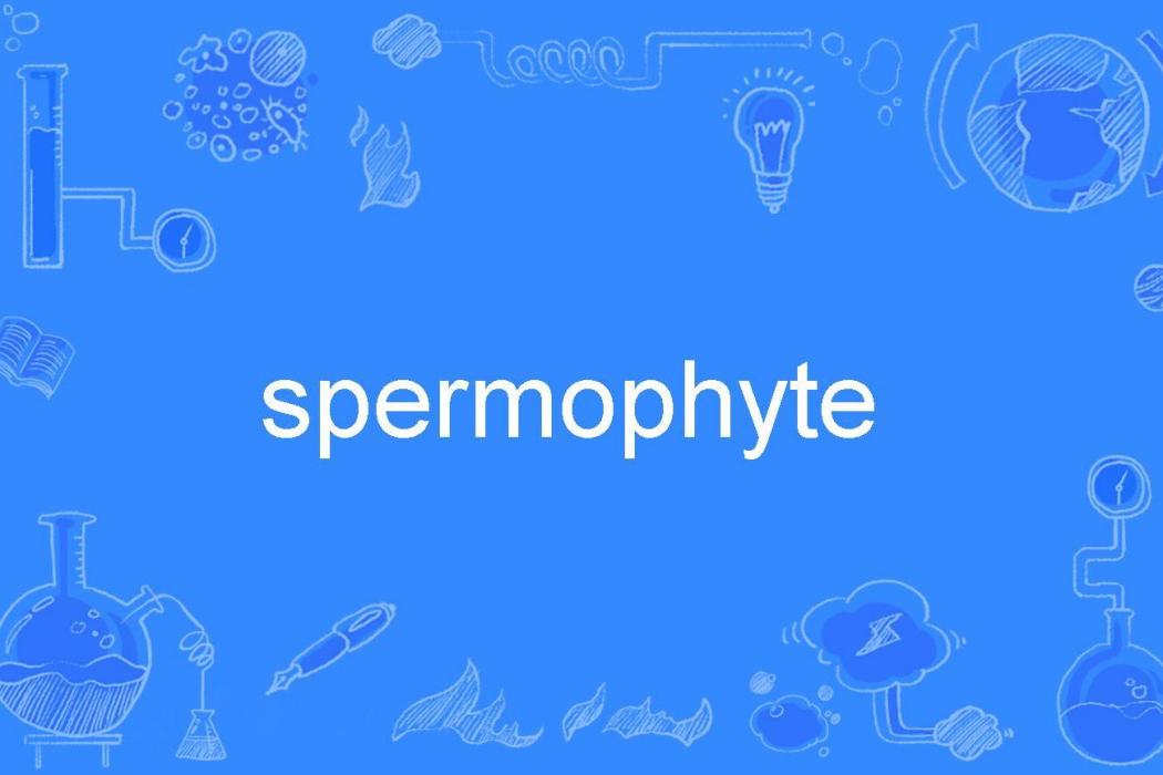 spermophyte