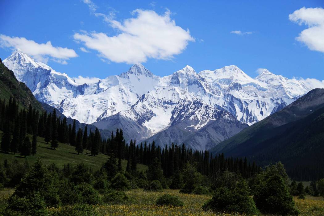 新疆維吾爾自治區天山東部國有林管理局