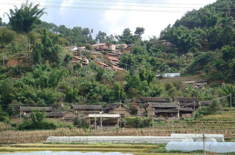 楊家寨自然村(雲南昭通縣扎西鎮石坎村民委員會下轄自然村)